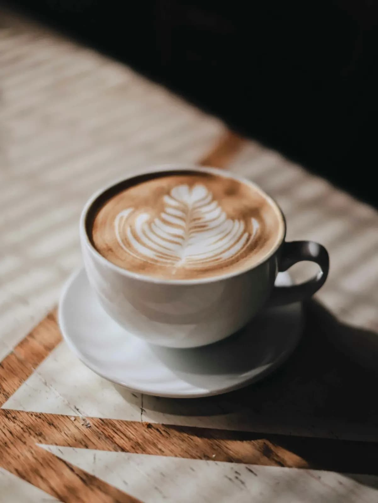 A latte with rosetta art on a sunlit table