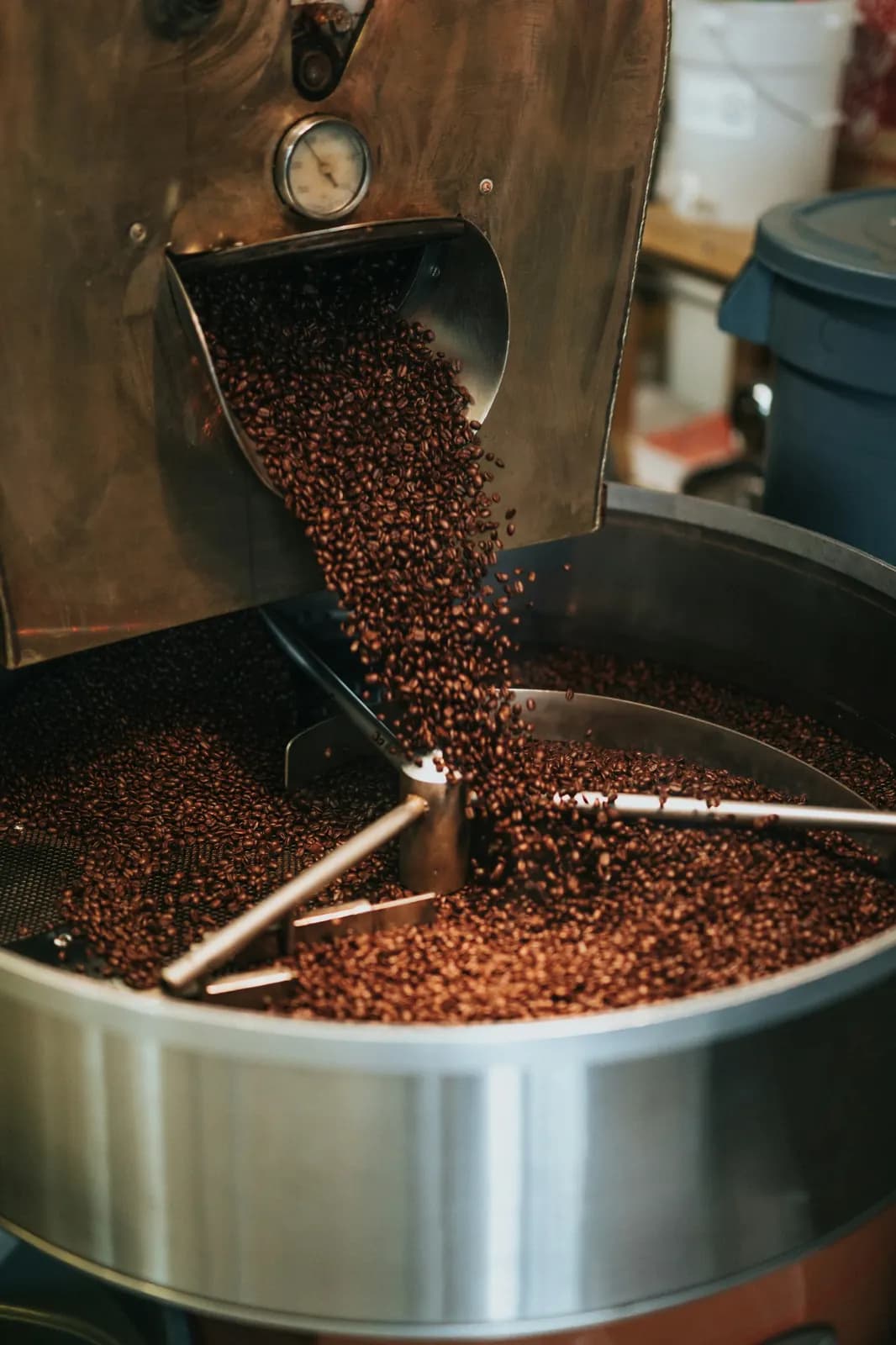Freshly roasted beans pouring from the roaster drum into the cooling tray