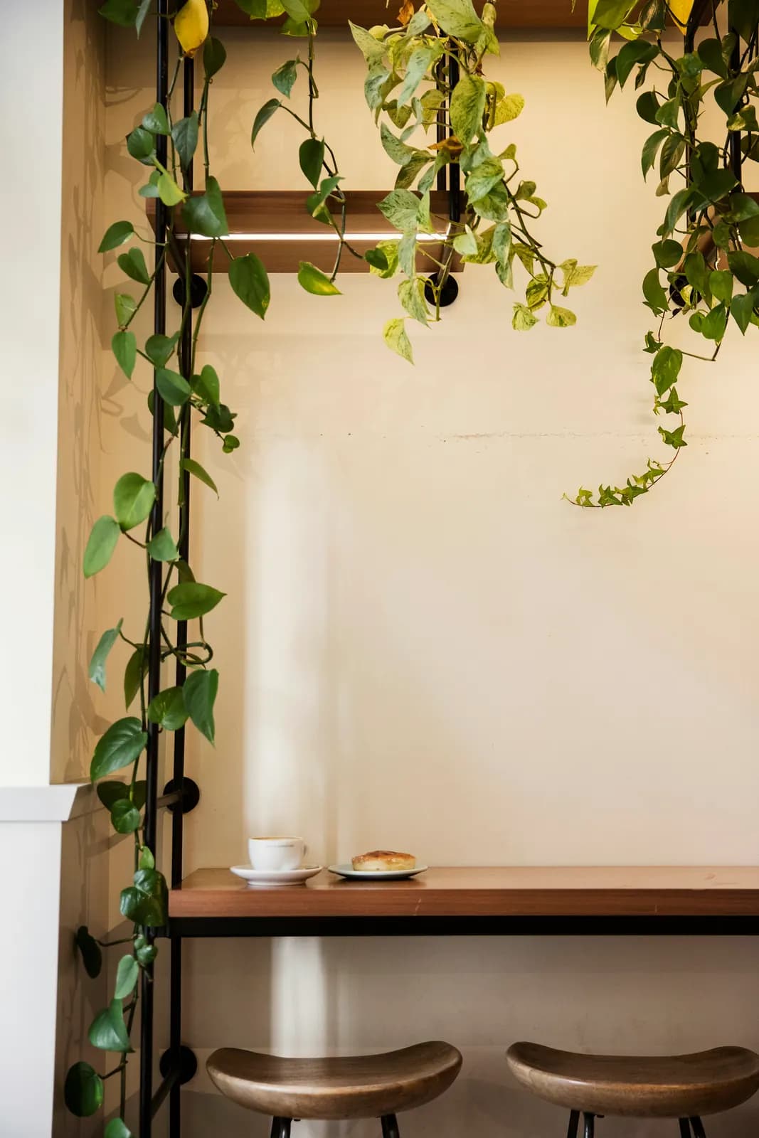A wall counter with two wooden stools under trailing plants, a coffee and a pastry